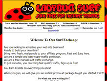 Tablet Screenshot of ladybugsurf.com